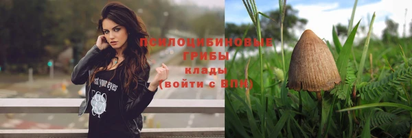 бошки Балахна