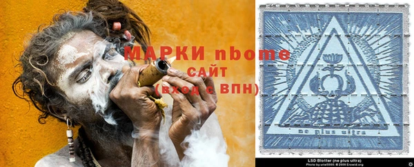 шишки Саяногорск