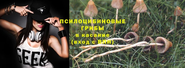 бошки Балахна