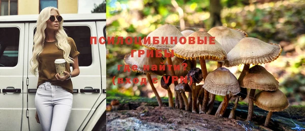 бошки Балахна
