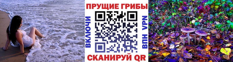 закладка  Гаврилов-Ям  Галлюциногенные грибы GOLDEN TEACHER 